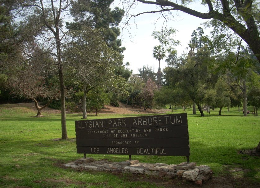 Chavez Ravine Arboretum, United States